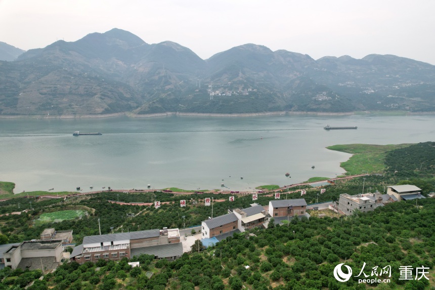 三沱村正以“三峽橙莊”建設為契機,描繪鄉(xiāng)村振興新圖景。人民網記者 劉政寧攝
