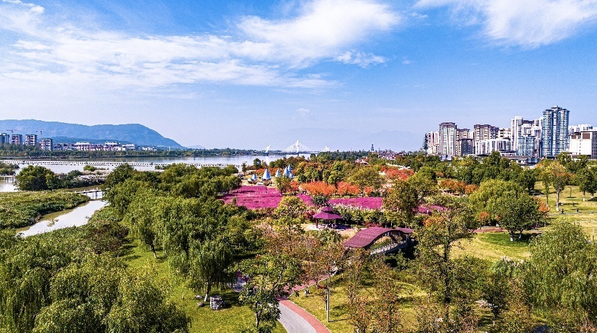 步入公園，仿佛走進“色彩的世界”。王淦攝（資料圖片）